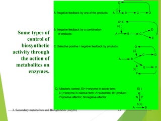 3. Secondary metabolites and Biosynthesis (Dayrit) 43
Some types of
control of
biosynthetic
activity through
the action of
metabolites on
enzymes.
A. Negative feedback by one of the products: A B C D
B. Negative feedback by a combination D
of products: A B C }
E
C. Selective positive / negative feedback by products:
C D
A B
E F
(-)
D+E
(-)
D
D
(-)
(+)
F
D. Allosteric control: E(+)=enzyme in active form;
E(-)=enzyme in inactive form; A=substrate; B= product;
P=positive effector; N=negative effector
E(-)
E(+)
N P
A B
 