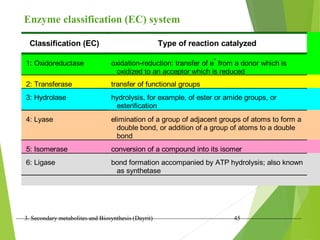 3. Secondary metabolites and Biosynthesis (Dayrit) 45
Enzyme classification (EC) system
Classification (EC) Type of reaction catalyzed
1: Oxidoreductase oxidation-reduction: transfer of e
-
from a donor which is
oxidized to an acceptor which is reduced
2: Transferase transfer of functional groups
3: Hydrolase hydrolysis, for example, of ester or amide groups, or
esterification
4: Lyase elimination of a group of adjacent groups of atoms to form a
double bond, or addition of a group of atoms to a double
bond
5: Isomerase conversion of a compound into its isomer
6: Ligase bond formation accompanied by ATP hydrolysis; also known
as synthetase
 