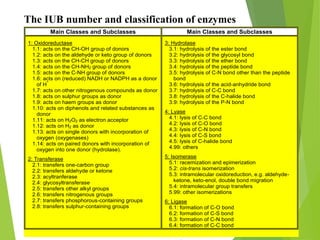 3. Secondary metabolites and Biosynthesis (Dayrit) 46
The IUB number and classification of enzymes
Main Classes and Subclasses Main Classes and Subclasses
1: Oxidoreductase
1.1: acts on the CH-OH group of donors
1.2: acts on the aldehyde or keto group of donors
1.3: acts on the CH-CH group of donors
1.4: acts on the CH-NH2 group of donors
1.5: acts on the C-NH group of donors
1.6: acts on (reduced) NADH or NADPH as a donor
of H
-
1.7: acts on other nitrogenous compounds as donor
1.8: acts on sulphur groups as donor
1.9: acts on haem groups as donor
1.10: acts on diphenols and related substances as
donor
1.11: acts on H2O2 as electron acceptor
1.12: acts on H2 as donor
1.13: acts on single donors with incorporation of
oxygen (oxygenases)
1.14: acts on paired donors with incorporation of
oxygen into one donor (hydrolase).
2: Transferase
2.1: transfers one-carbon group
2.2: transfers aldehyde or ketone
2.3: acyltranferase
2.4: glycosyltransferase
2.5: transfers other alkyl groups
2.6: transfers nitrogenous groups
2.7: transfers phosphorous-containing groups
2.8: transfers sulphur-containing groups
3: Hydrolase
3.1: hydrolysis of the ester bond
3.2: hydrolysis of the glycosyl bond
3.3: hydrolysis of the ether bond
3.4: hydrolysis of the peptide bond
3.5: hydrolysis of C-N bond other than the peptide
bond
3.6: hydrolysis of the acid-anhydride bond
3.7: hydrolysis of C-C bond
3.8: hydrolysis of the C-halide bond
3.9: hydrolysis of the P-N bond
4: Lyase
4.1: lysis of C-C bond
4.2: lysis of C-O bond
4.3: lysis of C-N bond
4.4: lysis of C-S bond
4.5: lysis of C-halide bond
4.99: others
5: Isomerase
5.1: racemization and epimerization
5.2: cis-trans isomerization
5.3: intramolecular oxidoreduction, e.g. aldehyde-
ketone, keto-enol, double bond migration
5.4: intramolecular group transfers
5.99: other isomerizations
6: Ligase
6.1: formation of C-O bond
6.2: formation of C-S bond
6.3: formation of C-N bond
6.4: formation of C-C bond
 