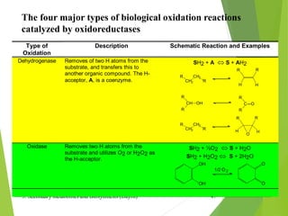 3. Secondary metabolites and Biosynthesis (Dayrit) 47
The four major types of biological oxidation reactions
catalyzed by oxidoreductases
Type of
Oxidation
Description Schematic Reaction and Examples
Dehydrogenase Removes of two H atoms from the
substrate, and transfers this to
another organic compound. The H-
acceptor, A, is a coenzyme.
SH2 + A  S + AH2
R
CH2
CH2
R
R R
H H
R
CH OH
R
R
C O
R
R R
H H
O
R
CH2
CH2
R
Oxidase Removes two H atoms from the
substrate and utilizes O2 or H2O2 as
the H-acceptor.
SH2 + ½O2  S + H2O
SH2 + H2O2  S + 2H2O
OH
OH
O
O
2
O
1/2
 