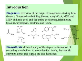 3. Secondary metabolites and Biosynthesis (Dayrit) 5
Introduction
Biogenesis: overview of the origin of compounds starting from
the set of intermediate building blocks: acetyl-CoA, MVA and
MEP, shikimic acid, and the amino acids phenylalanine and
tyrosine, tryptophan, ornithine and lysine.
SCoA
O
CO2H
CH3
HO
OH
CO2H
OH
OH
HO
NH2
R
CO2H
N
NH2
CO2H
H
H2N CO2H
NH2
H2N
CO2H
NH2
Biosynthesis: detailed study of the step-wise formation of
secondary metabolites. At more detailed levels, the specific
enzymes, genes and signals are also identified.
HO
CH3
HO
OP
OH
 