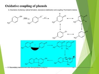 3. Secondary metabolites and Biosynthesis (Dayrit) 52
Oxidative coupling of phenols
OH
H3C
A. Illustration of phenoxy radical formation, resonance stabilization and coupling: Pummerer's ketone.
base
O
H3C
_
-e
_ O
H3C
H
.
.
O
H3C H
O
H3C
.
.
O
H3C
.
O
H3C
O
H3C H
. +
O
H3C
O
H CH3
OH
H3C
O
CH3
O
H3C
OH
CH3
 