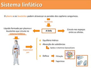Sistema linfático
 