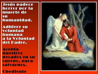Jesús padece horror por la muerte de su humanidad. Adhiere su voluntad humana  a la Voluntad  del Padre. Acepta nuestros pecados en su cuerpo, para salvarnos. Obediente hasta la muerte. 