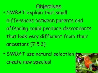 Swbat Education Example 0301 Classroom Adaptations | PPT