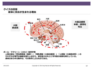 2015/4/5
クイズの回答
身体に反応が生まれる理由
ポール・マクリーン（1951）脳科学者
人間の脳は「爬虫類系脳（脳幹）」「哺乳類脳（大脳辺縁系）」「人間脳（大脳新皮質）」の
それぞれが専門の機能を果たしながら、相互協力のもとに司令室の役割を果たしている。
身体のあらゆる動作は、その指令によるものである。
14Copyright © 2015 Koji Naruta All Rights Reserved.
大脳
新皮質
大脳辺縁系
本能・感情を
司る
 