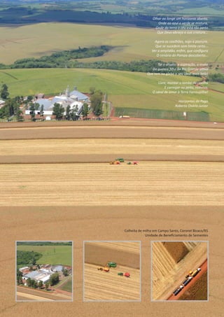 Olhar ao longe um horizonte aberto,
Onde ao azul o verde se mistura,
Onde da terra o céu está tão perto
Que Deus abraça a sua criatura...
Agora os coxilhões, logo a planura,
Que se sucedem sem limite certo...
Ver a amplidão, enﬁm, que conﬁgura
O cenário do Pampa descoberto...
Tal o anseio, a aspiração, o anelo
Do guasca ﬁlho do Rio Grande al vo
Que tem na gleba o seu ideal mais belo!
Livre, montar o lombo da coxilha
E carregar no peito, redivivo,
O ideal de amor à Terra Farroupilha!
Horizontes do Pago
Roberto Osório Junior
Colheita de milho em Campo Santo, Coronel Bicaco/RS
Unidade de Beneﬁciamento de Sementes
 