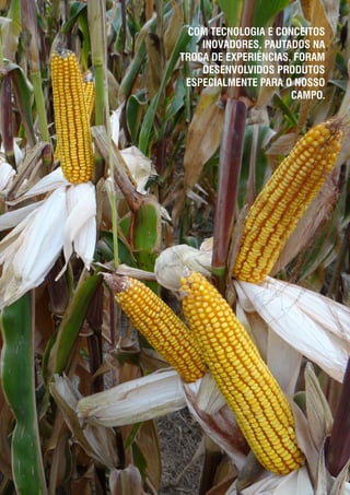 COM TECNOLOGIA E CONCEITOS
INOVADORES, PAUTADOS NA
TROCA DE EXPERIÊNCIAS, FORAM
DESENVOLVIDOS PRODUTOS
ESPECIALMENTE PARA O NOSSO
CAMPO.
 