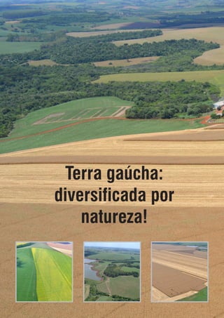Terra gaúcha:
diversificada por
natureza!
 