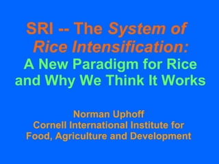 SRI -- The  System of  Rice Intensification: A New Paradigm for Rice and Why We Think It Works Norman Uphoff Cornell International Institute for Food, Agriculture and Development 
