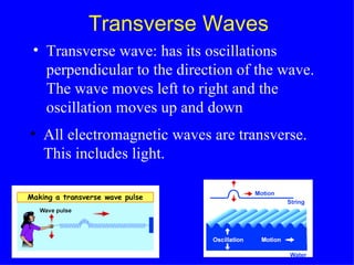 Transverse Waves All electromagnetic waves are transverse. This includes   light.   Transverse wave: has its oscillations perpendicular to the direction of the wave.  The wave moves left to right and the oscillation moves up and down 