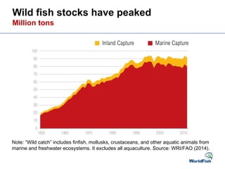 Fish Demand Aquaculture Futures: Supply and demand trends | PPT