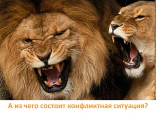 А из чего состоит конфликтная ситуация?
 