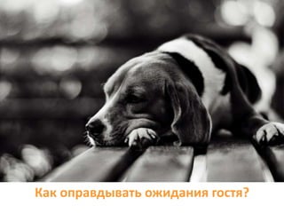 Как оправдывать ожидания гостя?
 