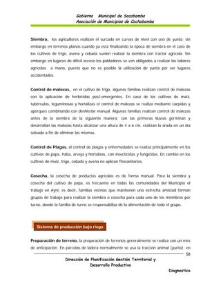 Gobierno Municipal de Sacabamba
                          Asociación de Municipios de Cochabamba



Siembra, los agricultores realizan el surcado en curvas de nivel con uso de yunta; sin
embargo en terrenos planos cuando ya esta finalizando la época de siembra en el caso de
los cultivos de trigo, avena y cebada suelen realizar la siembra con tractor agrícola. Sin
embargo en lugares de difícil acceso los pobladores se ven obligados a realizar las labores
agrícolas   a mano, puesto que no es posible la utilización de yunta por ser lugares
accidentados.


Control de malezas, en el cultivo de trigo, algunas familias realizan control de malezas
con la aplicación de herbicidas post-emergentes, En caso de los cultivos de maíz,
tubérculos, leguminosas y hortalizas el control de malezas se realiza mediante carpidas y
aporques combinando con deshierbe manual. Algunas familias realizan control de malezas
antes de la siembra de la siguiente manera: con las primeras lluvias germinan y
desarrollan las malezas hasta alcanzar una altura de 4 a 6 cm. realizan la arada en un día
soleado a fin de eliminar las mismas.


Control de Plagas, el control de plagas y enfermedades se realiza principalmente en los
cultivos de papa, haba, arveja y hortalizas, con insecticidas y fungicidas. En cambio en los
cultivos de maíz, trigo, cebada y avena no aplican fitosanitarios.


Cosecha, la cosecha de productos agrícolas es de forma manual. Para la siembra y
cosecha del cultivo de papa, es frecuente en todas las comunidades del Municipio el
trabajo en Ayni, es decir, familias vecinas que mantienen una estrecha amistad forman
grupos de trabajo para realizar la siembra o cosecha para cada uno de los miembros por
turno, donde la familia de turno se responsabiliza de la alimentación de todo el grupo.




   Sistema de producción bajo riego


Preparación de terreno, la preparación de terrenos generalmente se realiza con un mes
de anticipación. En parcelas de ladera normalmente se usa la tracción animal (yunta); en
                                                                                          58
                    Dirección de Planificación Gestión Territorial y
                                 Desarrollo Productivo
                                                                               Diagnostico
 