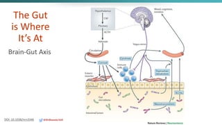 The Gut
is Where
It’s At
Brain-Gut Axis
DOI: 10.1038/nrn3346 @DrBonnie360
 