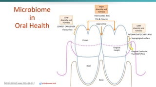 Microbiome
in
Oral Health
DOI:10.1016/j.imlet.2014.08.017 @DrBonnie360
 