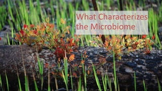 What Characterizes
the Microbiome
 