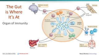 The Gut
is Where
It’s At
Organ of Immunity
DOI: 10.1038/nri3430 @DrBonnie360
 