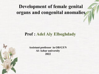 Prof : Adel Aly Elboghdady
Assistant professor in OB/GYN
Al- Azhar university
2022
Development of female genital
organs and congenital anomalies
Optimizing natural conception
 