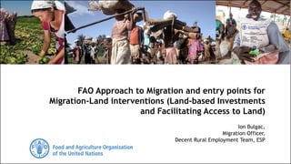 Ion Bulgac,
Migration Officer,
Decent Rural Employment Team, ESP
FAO Approach to Migration and entry points for
Migration-Land interventions (Land-based Investments
and Facilitating Access to Land)
 