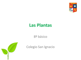 Las Plantas
8º básico
Colegio San Ignacio
 