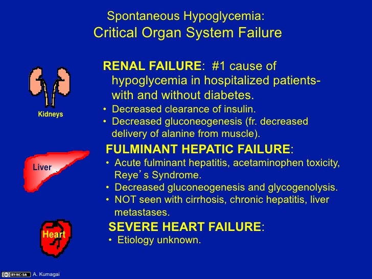 03.06.09: Spontaneous Hypoglycemia