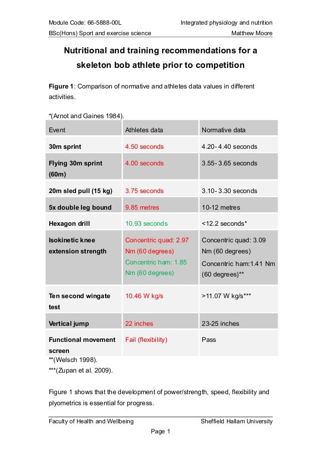 holidays english essay examples free download