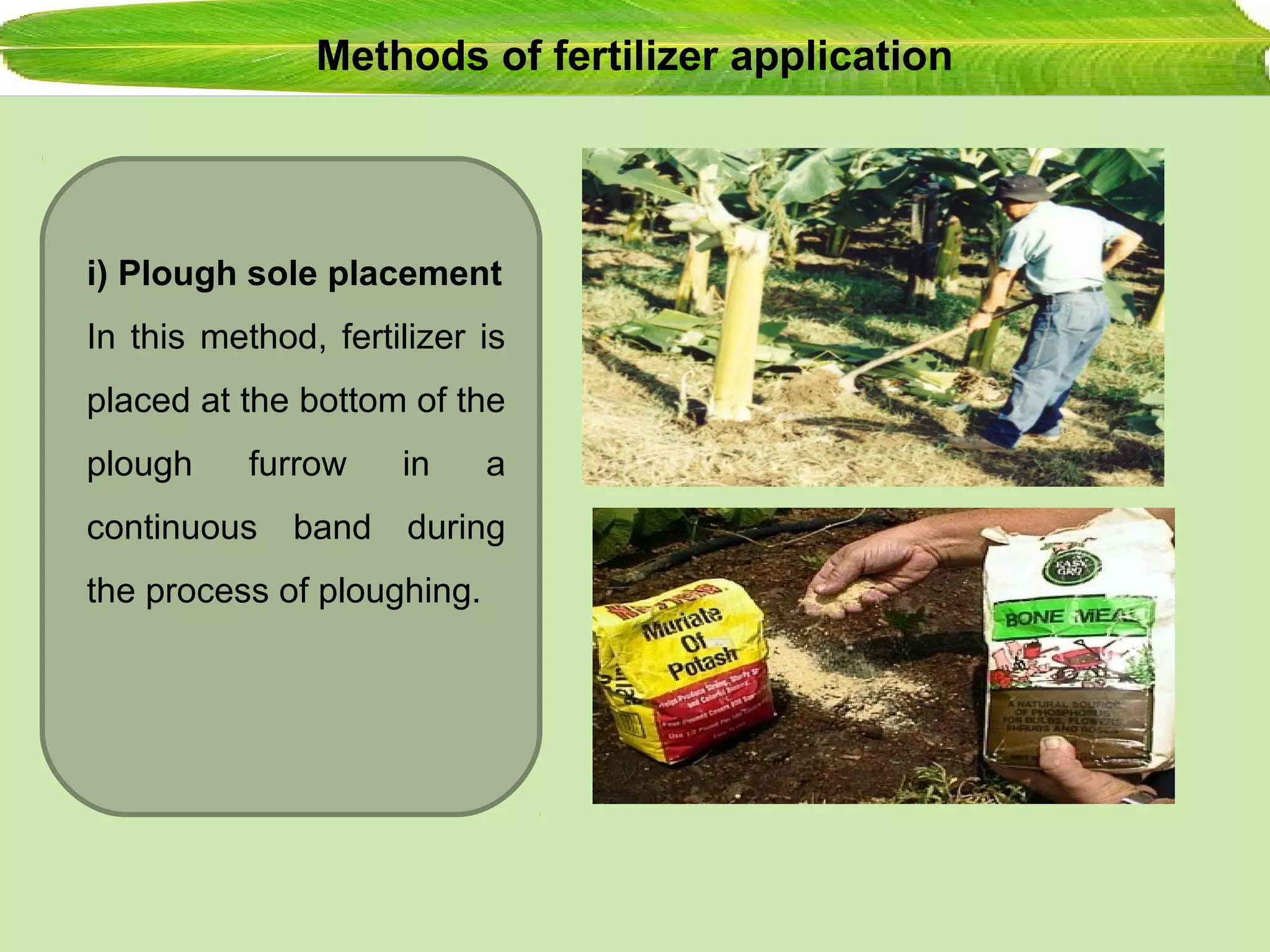 Methods of fertilizer application
i) Plough sole placement
In this method, fertilizer is
placed at the bottom of the
plough furrow in a
continuous band during
the process of ploughing.
 