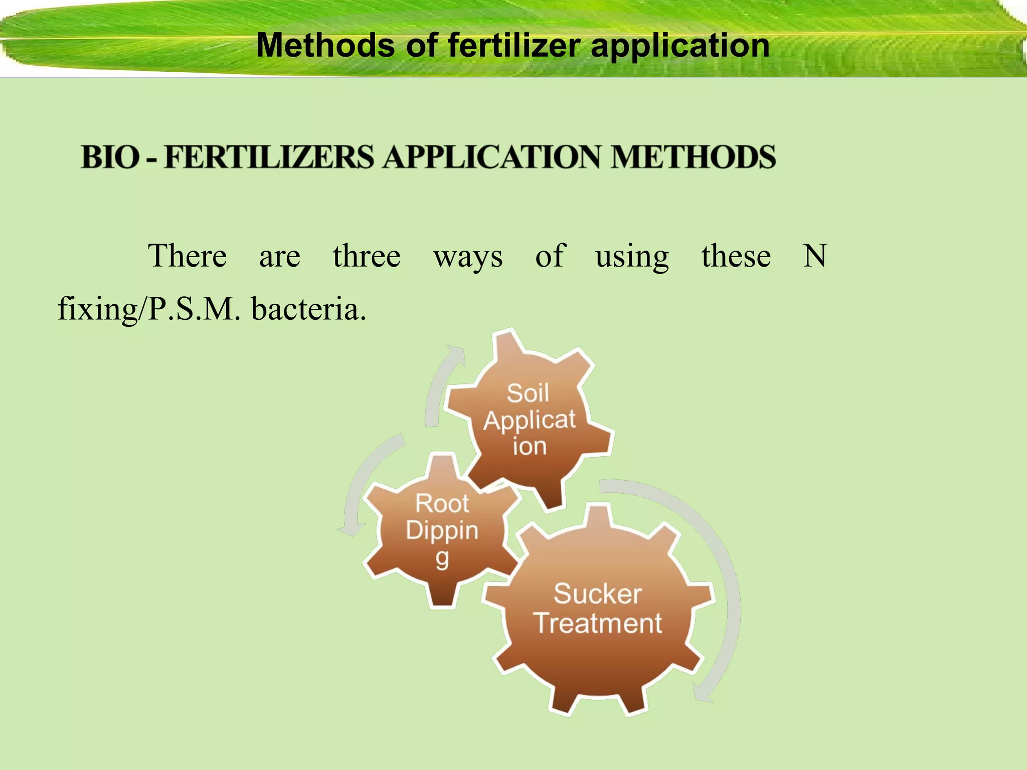 There are three ways of using these N
fixing/P.S.M. bacteria.
Methods of fertilizer application
 