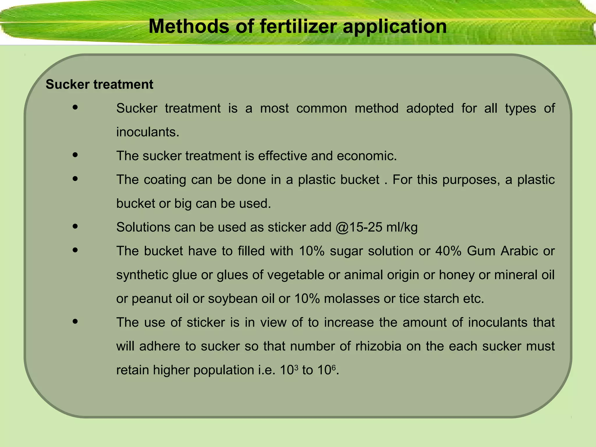 Methods of fertilizer application
Sucker treatment
• Sucker treatment is a most common method adopted for all types of
inoculants.
• The sucker treatment is effective and economic.
• The coating can be done in a plastic bucket . For this purposes, a plastic
bucket or big can be used.
• Solutions can be used as sticker add @15-25 ml/kg
• The bucket have to filled with 10% sugar solution or 40% Gum Arabic or
synthetic glue or glues of vegetable or animal origin or honey or mineral oil
or peanut oil or soybean oil or 10% molasses or tice starch etc.
• The use of sticker is in view of to increase the amount of inoculants that
will adhere to sucker so that number of rhizobia on the each sucker must
retain higher population i.e. 103
to 106
.
 