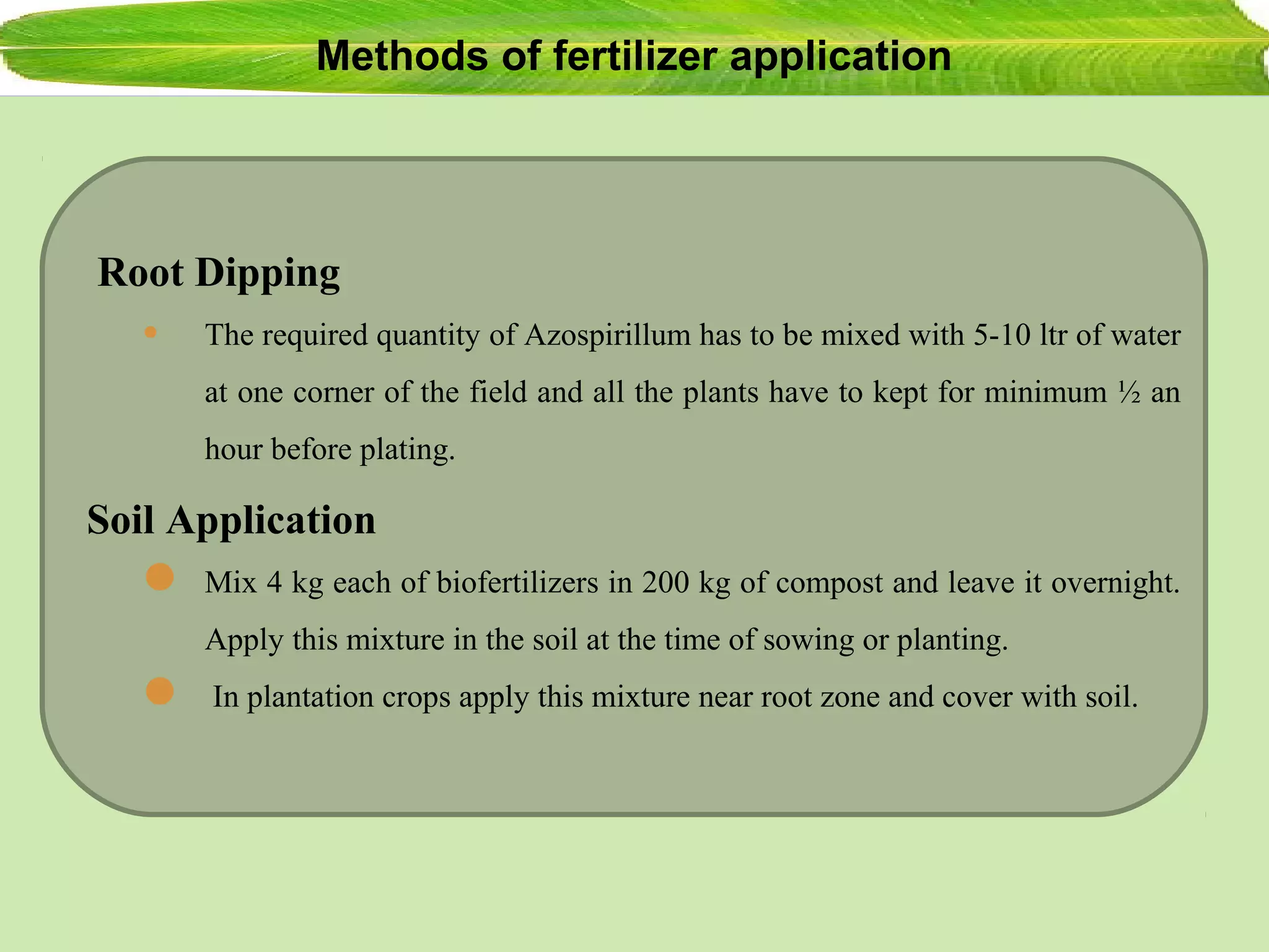 Methods of fertilizer application
Root Dipping
• The required quantity of Azospirillum has to be mixed with 5-10 ltr of water
at one corner of the field and all the plants have to kept for minimum ½ an
hour before plating.
Soil Application
 Mix 4 kg each of biofertilizers in 200 kg of compost and leave it overnight.
Apply this mixture in the soil at the time of sowing or planting.
 In plantation crops apply this mixture near root zone and cover with soil.
 