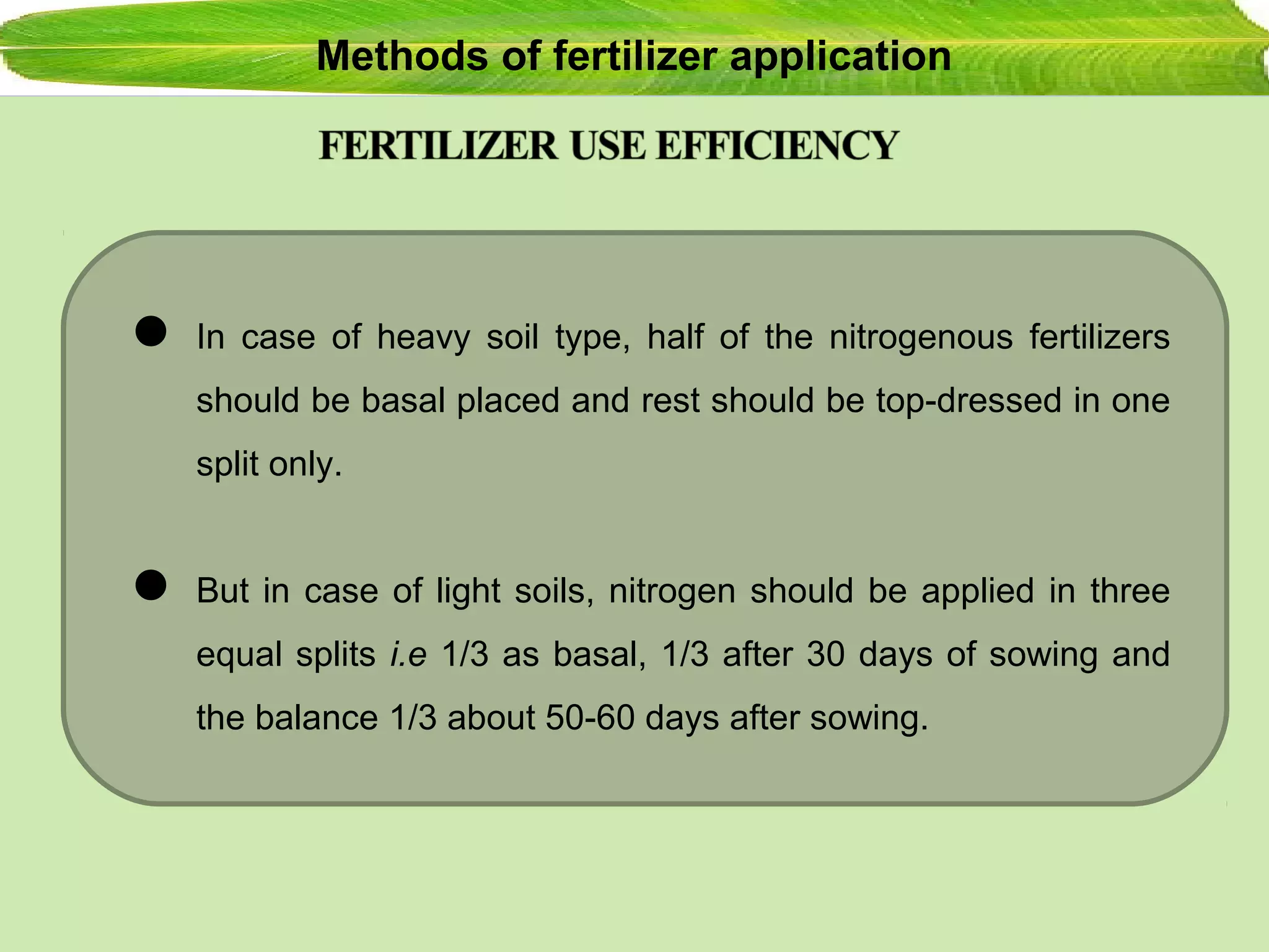 Methods of fertilizer application
 In case of heavy soil type, half of the nitrogenous fertilizers
should be basal placed and rest should be top-dressed in one
split only.
 But in case of light soils, nitrogen should be applied in three
equal splits i.e 1/3 as basal, 1/3 after 30 days of sowing and
the balance 1/3 about 50-60 days after sowing.
 