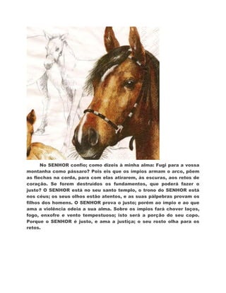 No SENHOR confio; como dizeis à minha alma: Fugi para a vossa
montanha como pássaro? Pois eis que os ímpios armam o arco, põem
as flechas na corda, para com elas atirarem, às escuras, aos retos de
coração. Se forem destruídos os fundamentos, que poderá fazer o
justo? O SENHOR está no seu santo templo, o trono do SENHOR está
nos céus; os seus olhos estão atentos, e as suas pálpebras provam os
filhos dos homens. O SENHOR prova o justo; porém ao ímpio e ao que
ama a violência odeia a sua alma. Sobre os ímpios fará chover laços,
fogo, enxofre e vento tempestuoso; isto será a porção do seu copo.
Porque o SENHOR é justo, e ama a justiça; o seu rosto olha para os
retos.
 