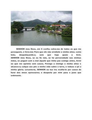 SENHOR meu Deus, em ti confio; salva-me de todos os que me
perseguem, e livra-me; Para que ele não arrebate a minha alma, como
leão,     despedaçando-a,   sem    que    haja    quem     a    livre.
SENHOR meu Deus, se eu fiz isto, se há perversidade nas minhas
mãos, se paguei com o mal àquele que tinha paz comigo antes, livrei
ao que me oprimia sem causa, Persiga o inimigo a minha alma e
alcance-a; calque aos pés a minha vida sobre a terra, e reduza a pó a
minha glória. Levanta-te, SENHOR na tua ira; exalta-te por causa do
furor dos meus opressores; e desperta por mim para o juízo que
ordenaste.
 