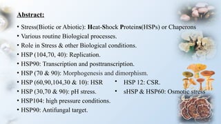 Role of Heat-Shock Proteins in Cellular Function and in the Biology of ...