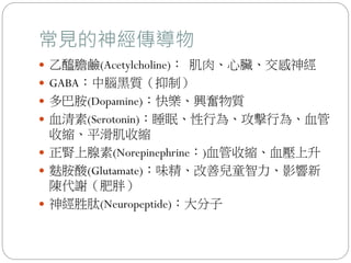 常見的神經傳導物
 乙醯膽鹼(Acetylcholine)： 肌肉、心臟、交感神經
 GABA：中腦黑質（抑制）
 多巴胺(Dopamine)：快樂、興奮物質
 血清素(Serotonin)：睡眠、性行為、攻擊行為、血管
收縮、平滑肌收縮
 正腎上腺素(Norepinephrine：)血管收縮、血壓上升
 麩胺酸(Glutamate)：味精、改善兒童智力、影響新
陳代謝（肥胖）
 神經胜肽(Neuropeptide)：大分子
 