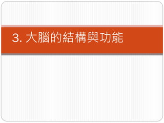 3. 大腦的結構與功能
 