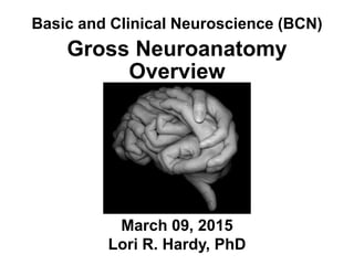 Basic and Clinical Neuroscience (BCN)
Gross Neuroanatomy
Overview
March 09, 2015
Lori R. Hardy, PhD
 