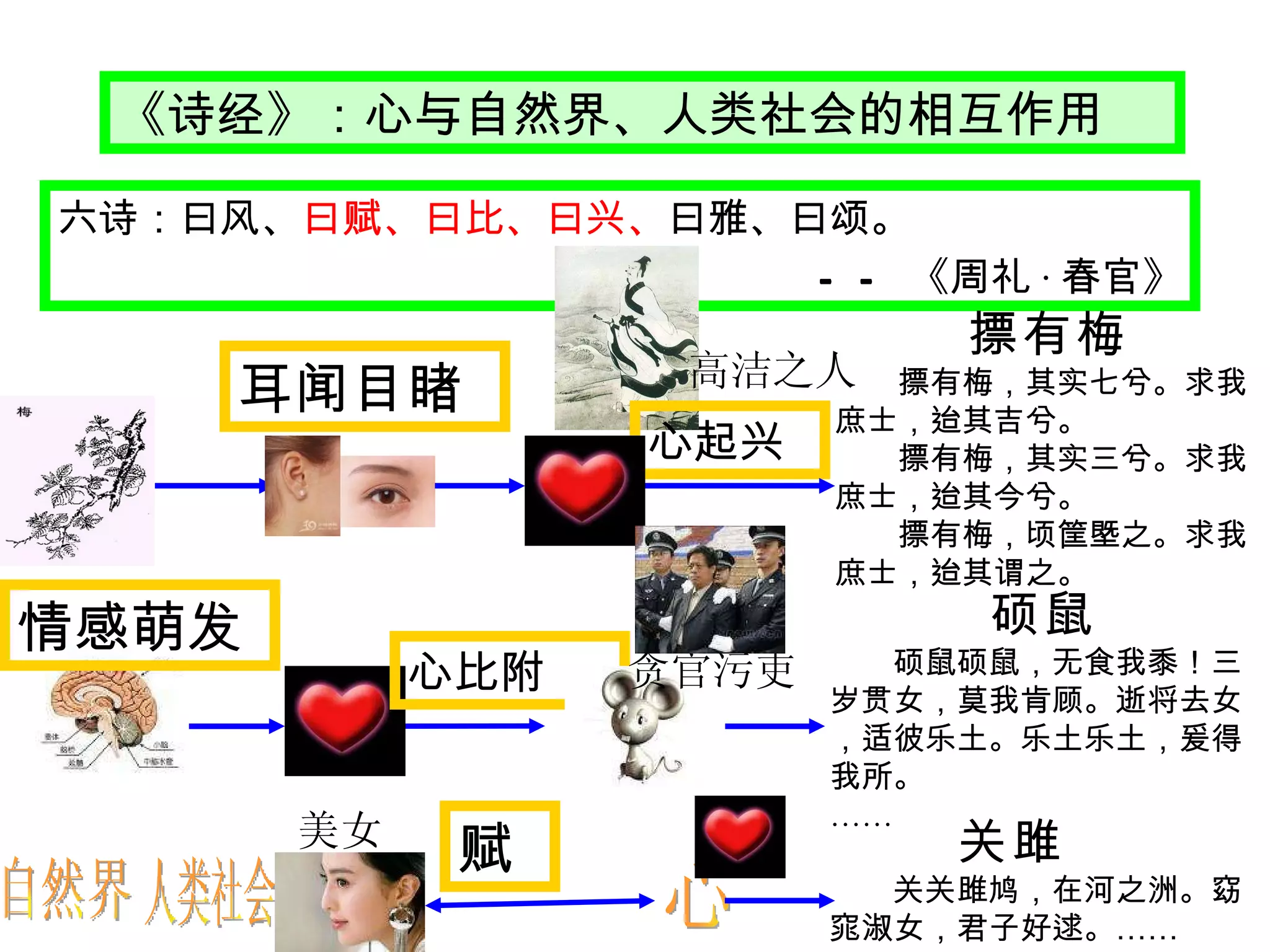 六诗：曰风、 曰赋、曰比、曰兴、 曰雅、曰颂。 —— 《周礼 · 春官》 心 心起兴 摽有梅 　　摽有梅，其实七兮。求我庶士，迨其吉兮。　 　　摽有梅，其实三兮。求我庶士，迨其今兮。　 　　摽有梅，顷筐塈之。求我庶士，迨其谓之。   硕鼠 　　 硕鼠硕鼠，无食我黍！三岁贯女，莫我肯顾。逝将去女，适彼乐土。乐土乐土，爰得我所。 …… 赋 人类社会 自然界 情感萌发 耳闻目睹 心比附 关雎 　　 　　关关雎鸠，在河之洲。窈窕淑女，君子好逑。 …… 《诗经》：心与自然界、人类社会的相互作用 贪官污吏 美女 高洁之人 