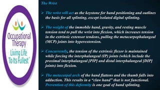 The Wrist
 The wrist will act as the keystone for hand positioning and outlines
the basis for all splinting, except isolated digital splinting.
 The weight of the immobile hand, gravity, and resting muscle
tension tend to pull the wrist into flexion, which increases tension
in the extrinsic extensor tendons, pulling the metacarpophalangeal
(MCP) joints into hyperextension.
 Concurrently, the tension of the extrinsic flexor is maintained
while forcing the interphalangeal (IP) joints (which include the
proximal interphalangeal [PIP] and distal interphalangeal [DIP]
joints) into flexion.
 The metacarpal arch of the hand flattens and the thumb falls into
adduction. This results in a “claw hand” that is not functional.
Prevention of this deformity is one goal of hand splinting.
 