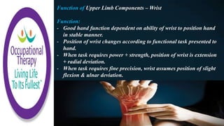Function of Upper Limb Components – Wrist
Function:
- Good hand function dependent on ability of wrist to position hand
in stable manner.
- Position of wrist changes according to functional task presented to
hand.
- When task requires power + strength, position of wrist is extension
+ radial deviation.
- When task requires fine precision, wrist assumes position of slight
flexion & ulnar deviation.
 
