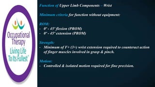 Function of Upper Limb Components – Wrist
Minimum criteria for function without equipment:
ROM:
- 0º - 45º flexion (PROM)
- 0º - 45º extension (PROM)
Strength:
- Minimum of F+ (3+) wrist extension required to counteract action
of finger muscles involved in grasp & pinch.
Motion:
- Controlled & isolated motion required for fine precision.
 