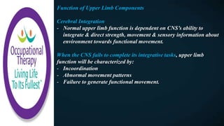 Function of Upper Limb Components
Cerebral Integration
- Normal upper limb function is dependent on CNS’s ability to
integrate & direct strength, movement & sensory information about
environment towards functional movement.
When the CNS fails to complete its integrative tasks, upper limb
function will be characterized by:
- Incoordination
- Abnormal movement patterns
- Failure to generate functional movement.
 