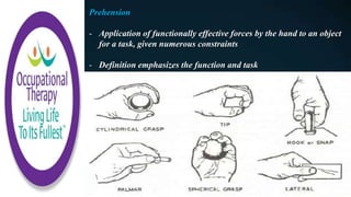 Prehension
- Application of functionally effective forces by the hand to an object
for a task, given numerous constraints
- Definition emphasizes the function and task
 