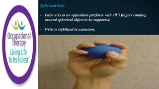 Spherical Grip
- Palm acts as an opposition platform with all 5 fingers rotating
around spherical object to be supported.
- Wrist is stabilized in extension.
 