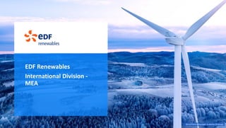 EDFR Company Profile | PDF