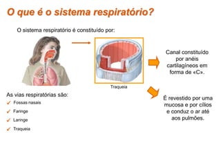  Fossas nasais
 Faringe
 Laringe
 Traqueia
As vias respiratórias são:
Canal constituído
por anéis
cartilagíneos em
forma de «C».
É revestido por uma
mucosa e por cílios
e conduz o ar até
aos pulmões.
O que é o sistema respiratório?
O sistema respiratório é constituído por:
Traqueia
 