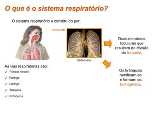 o sistema respiratório | PPTX
