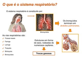 Fossas nasais
 Faringe
 Laringe
 Traqueia
 Brônquios
 Bronquíolos
As vias respiratórias são:
Os bronquíolos
terminam em
alvéolos pulmonares.
Estruturas em forma
de saco, rodeadas de
numerosos capilares.
Trocas gasosas
O que é o sistema respiratório?
O sistema respiratório é constituído por:
Bronquíolos
 